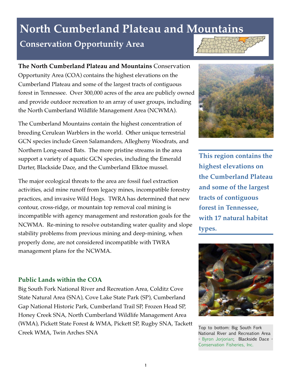 North Cumberland Plateau and Mountains Conservation Opportunity Area !! ! !