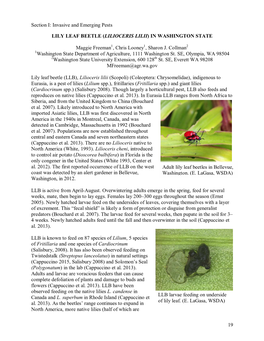 Invasive and Emerging Pests LILY LEAF BEETLE (LILIOCERIS LILII)