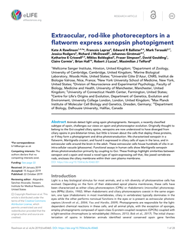 Extraocular, Rod-Like Photoreceptors in a Flatworm Express Xenopsin