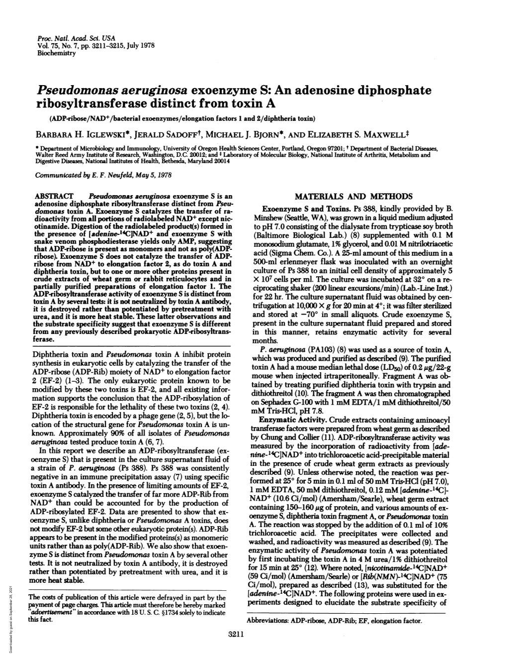 Pseudomonas Aeruginosa Exoenzyme S