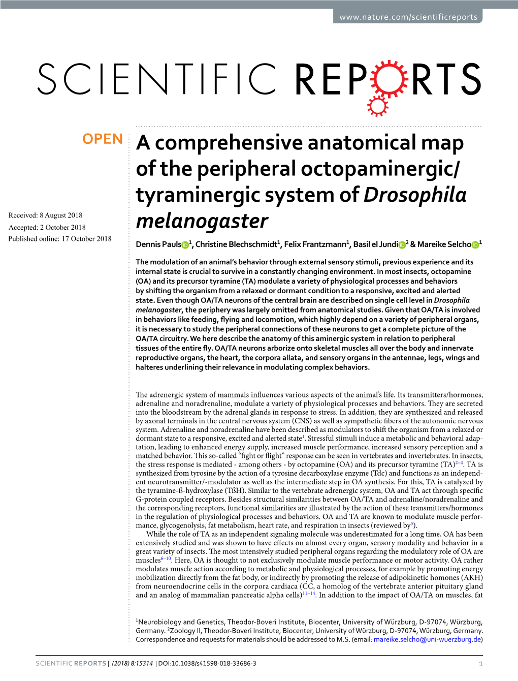 Tyraminergic System of Drosophila Melanogaster