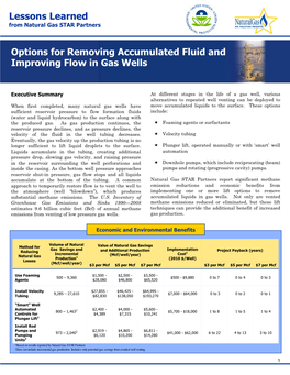 Options for Removing Accumulated Fluid and Improving Flow in Gas Wells