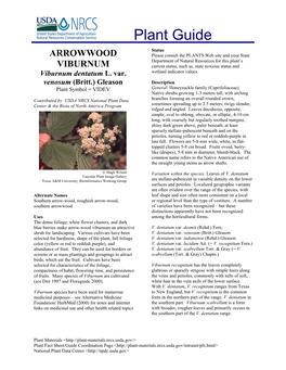 Arrowwood Viburnum