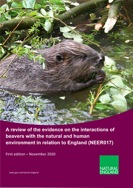 A Review of the Evidence on the Interactions of Beavers with the Natural and Human Environment in Relation to England (NEER017)