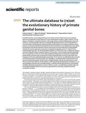 Set the Evolutionary History of Primate Genital Bones