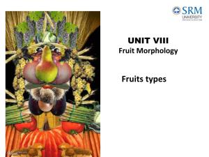 Fruit Morphology