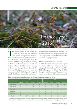 The Moss Year – 2016