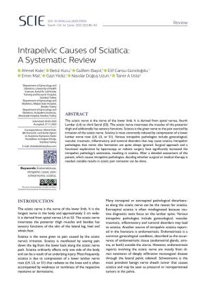 Intrapelvic Causes of Sciatica: a Systematic Review