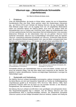 Viburnum Spp. – Winterblühende Schneebälle (Caprifoliaceae)