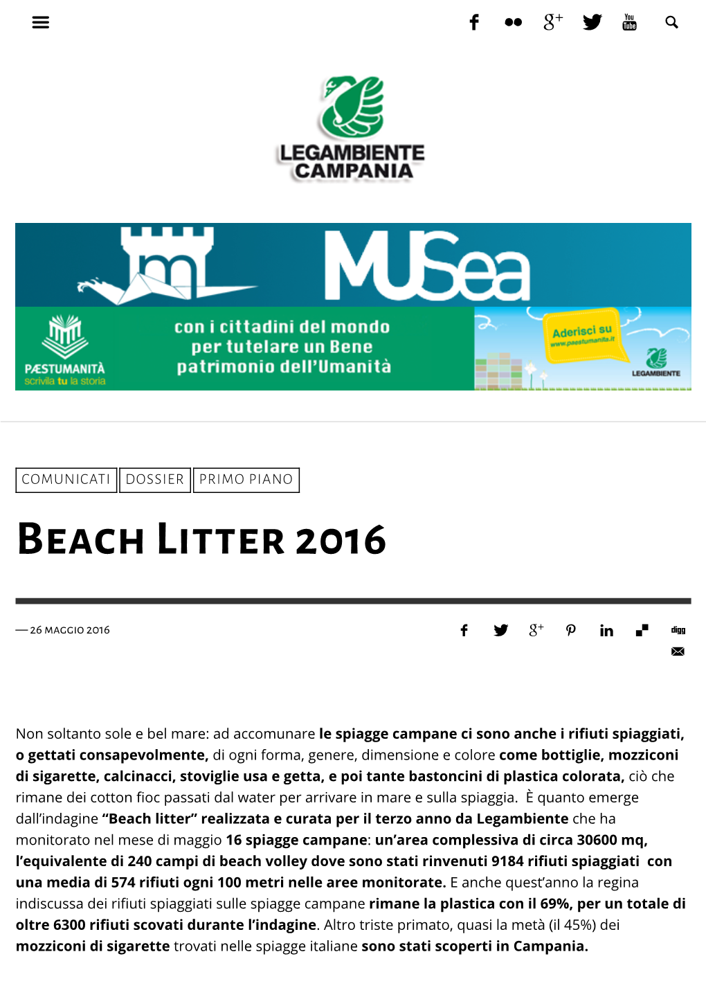 Beach Litter 2016