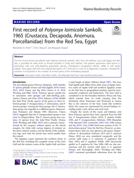 First Record of Polyonyx Loimicola Sankolli, 1965 (Crustacea, Decapoda, Anomura, Porcellanidae) from the Red Sea, Egypt Mohamed A