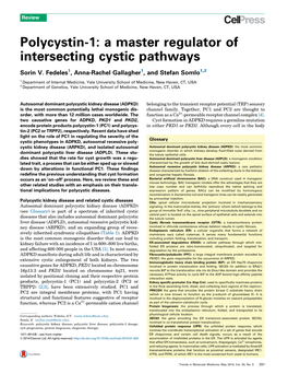 Polycystin-1: a Master Regulator of Intersecting Cystic Pathways