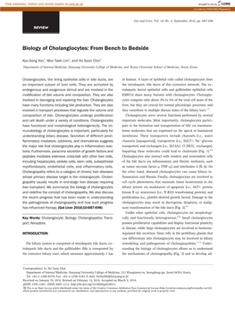 Biology of Cholangiocytes: from Bench to Bedside