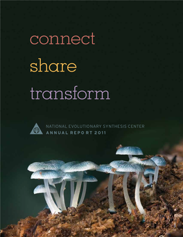 Connect Share Transform