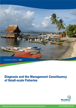 Diagnosis and the Management Constituency of Small-Scale Fisheries