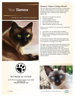 Siamese: What a Unique Breed! PET MEDICAL CENTER