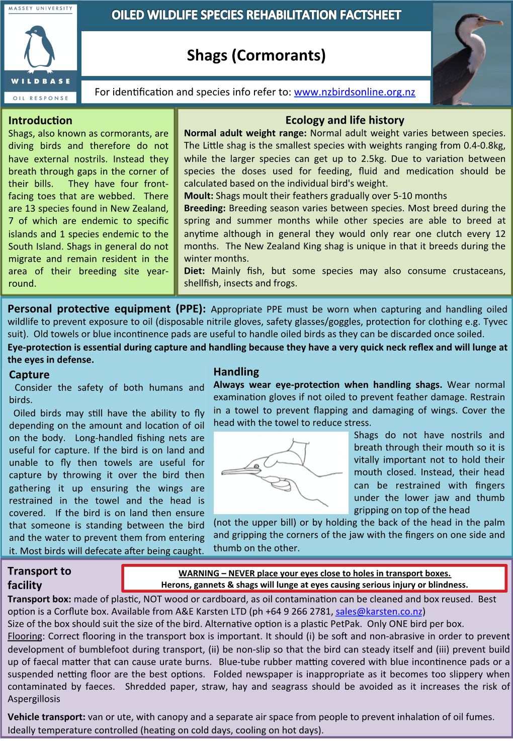 Shags (Cormorants) of Bird for Iden�ﬁca�On and Species Info Refer To