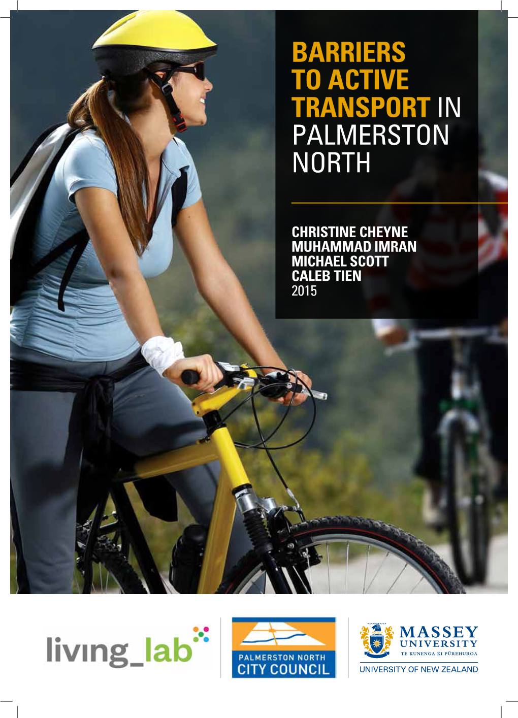 Barriers to Active Transport in Palmerston North