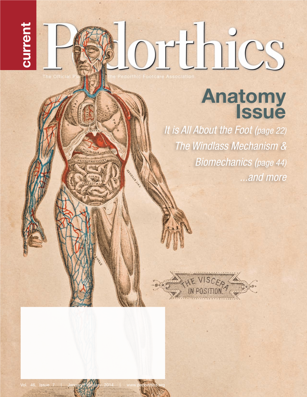 Pedorthics.Org Current It Is All About Thefoot ( the Windlass Mechanism & Biomechanics ( Anatomy Issue ...And More Page 22) Page Page 44) Page