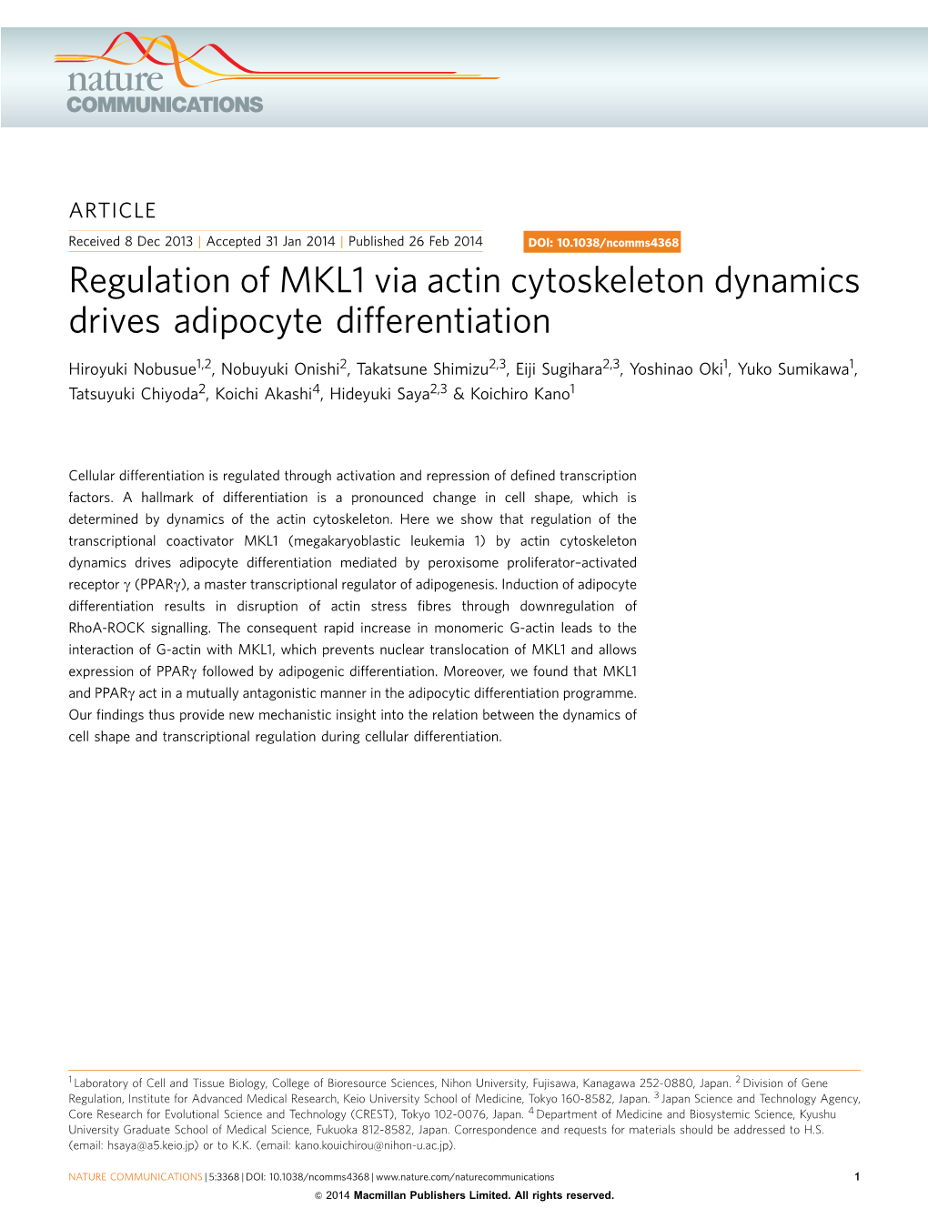 Regulation of MKL1 Via Actin Cytoskeleton Dynamics Drives Adipocyte Differentiation