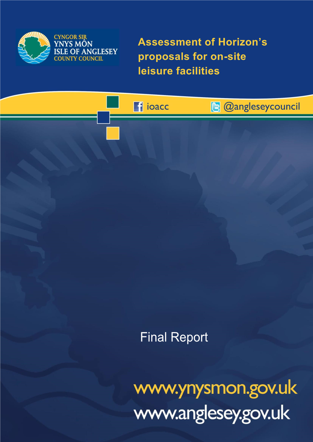 Final Report