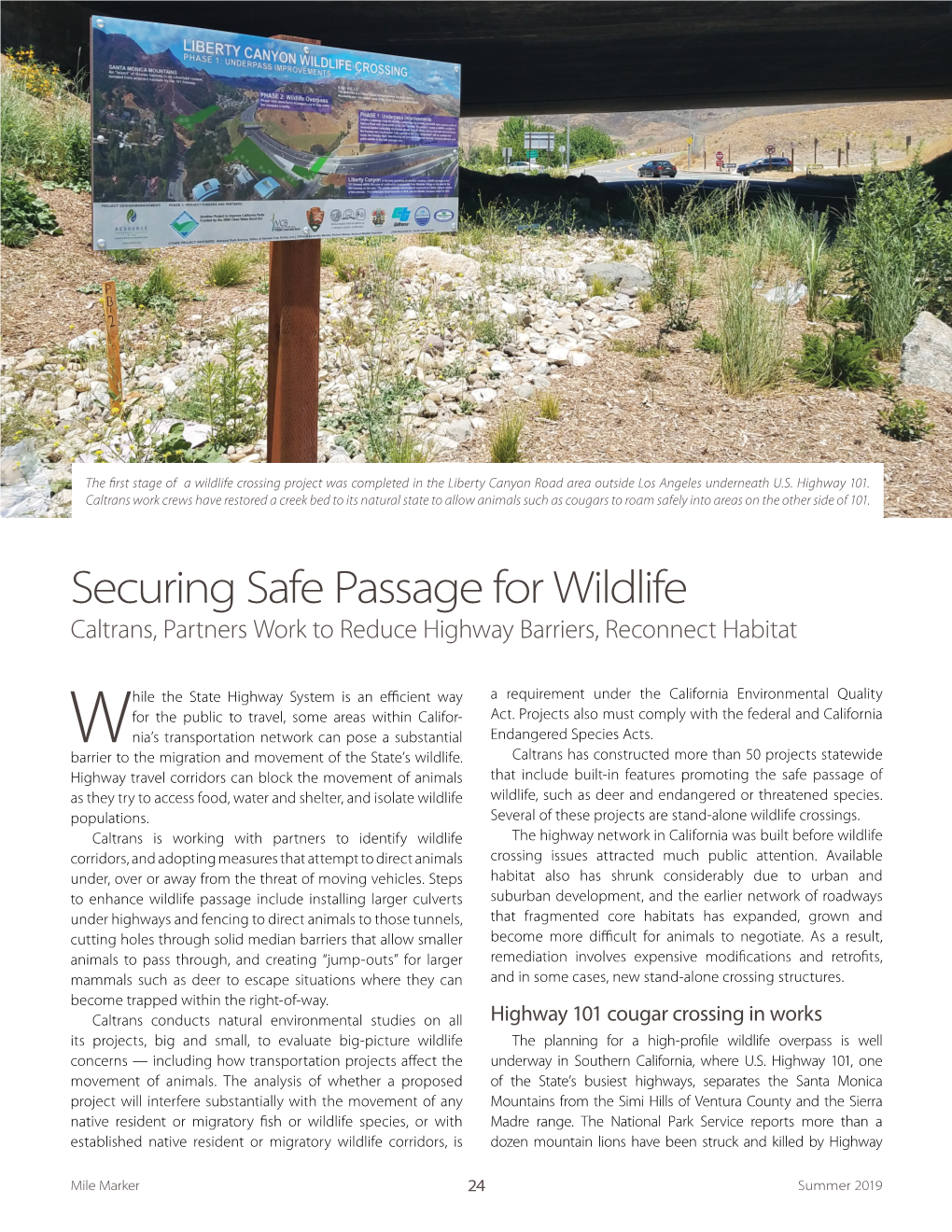 Mile Marker, Summer 2019: Securing Safe Passage for Wildlife