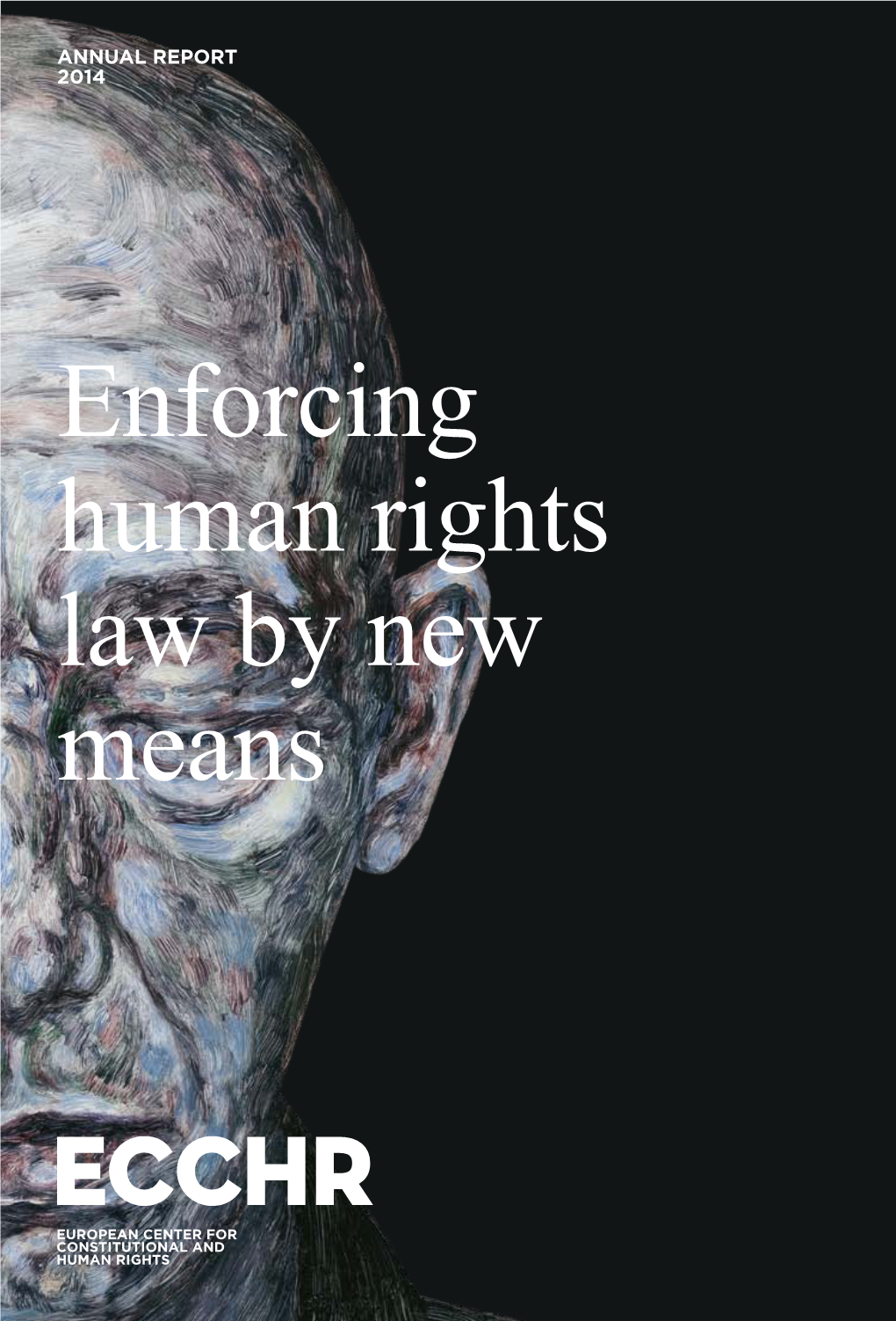 Annual Report 2014 Enforcing Human Rights Law by New Means