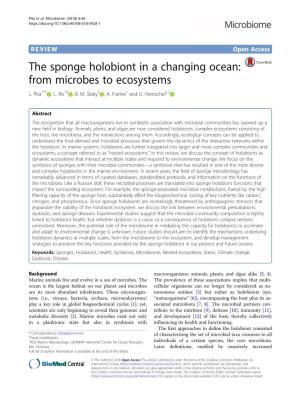 The Sponge Holobiont in a Changing Ocean: from Microbes to Ecosystems L