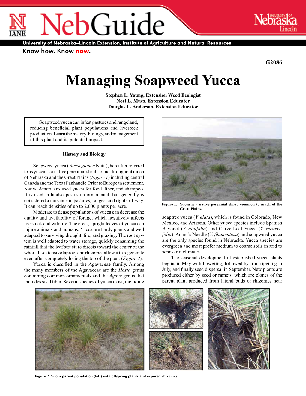 Managing Soapweed Yucca Stephen L