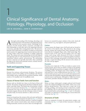 Clinical Significance of Dental Anatomy, Histology, Physiology, and Occlusion