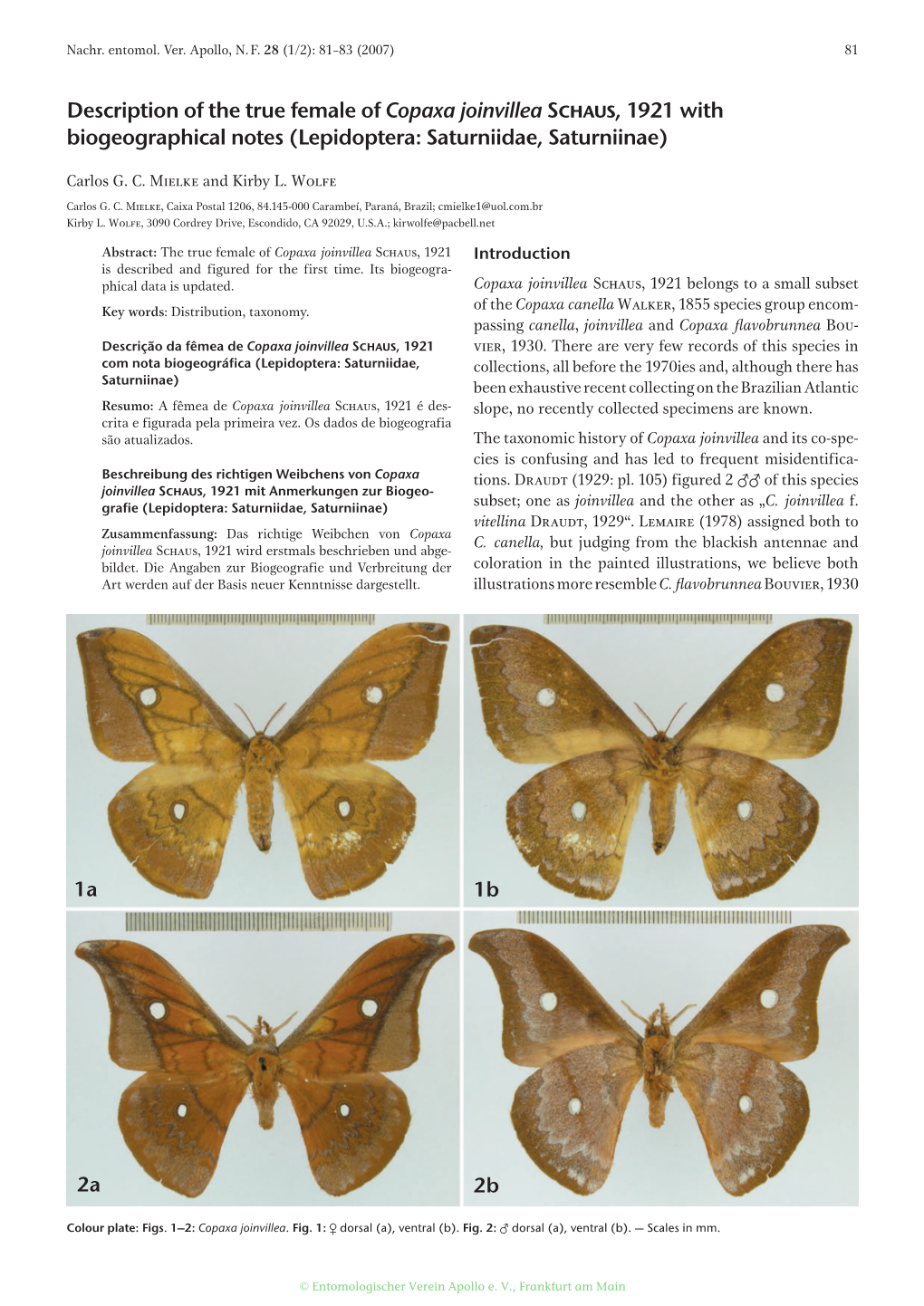 Description of the True Female of Copaxa Joinvillea Schaus, 1921 with Biogeographical Notes (Lepidoptera: Saturniidae, Saturniinae)