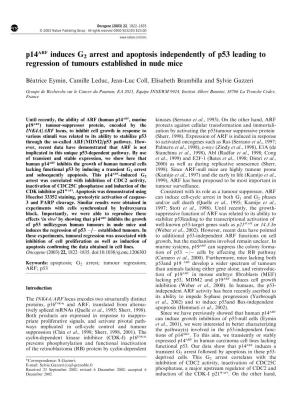 P14arf Induces G2 Arrest and Apoptosis Independently of P53