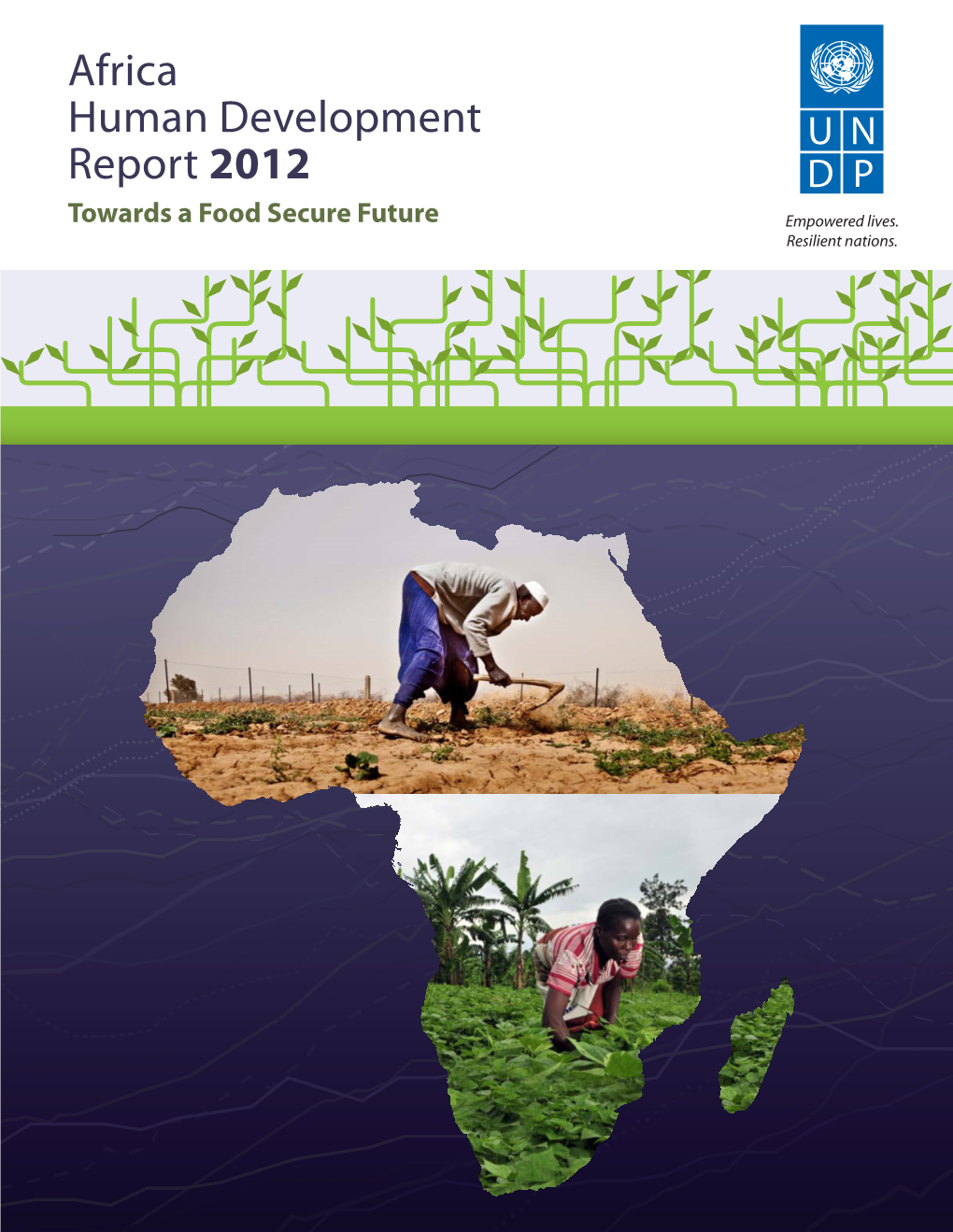 Africa Human Development Report 2012