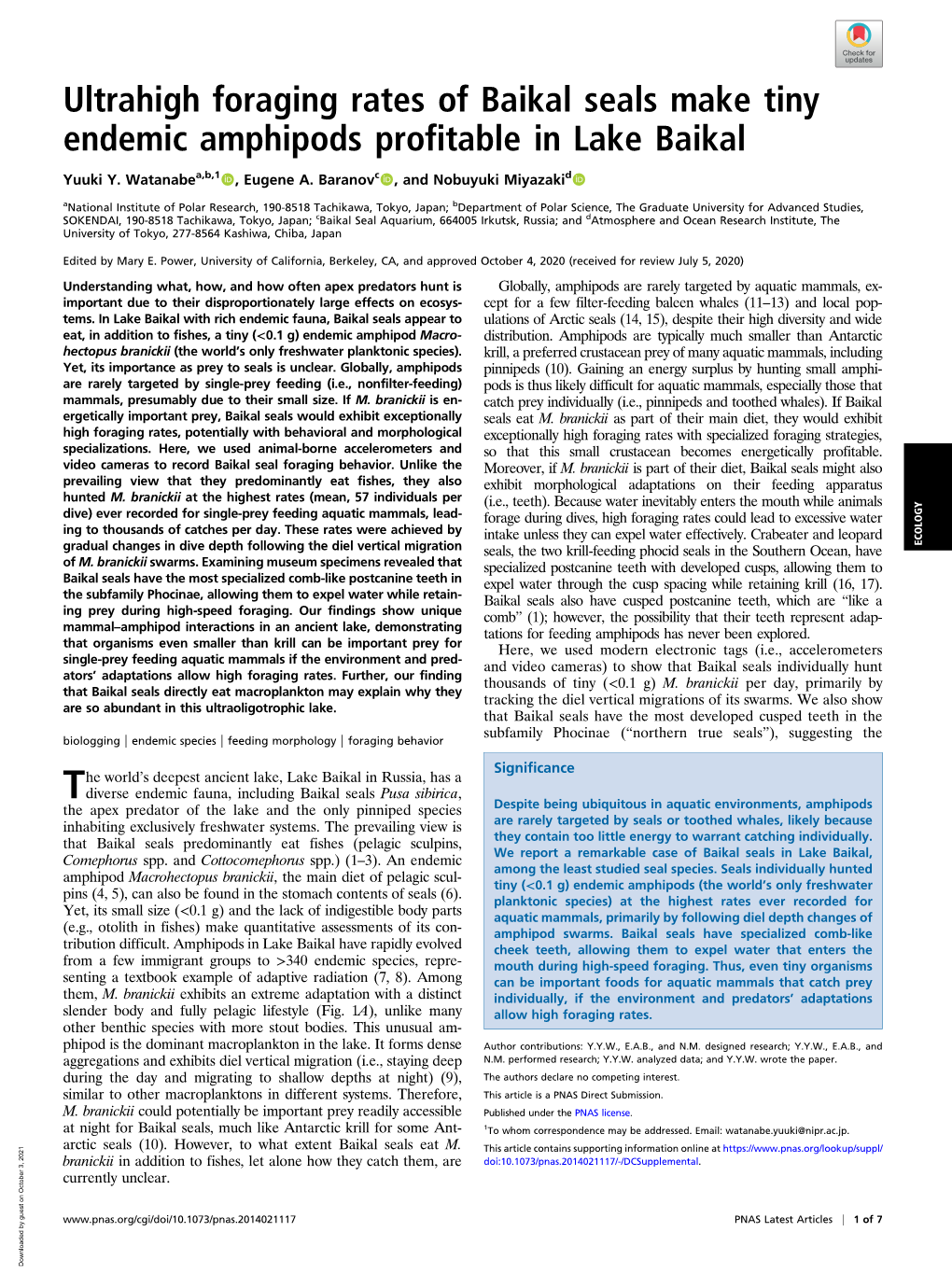 Ultrahigh Foraging Rates of Baikal Seals Make Tiny Endemic Amphipods Profitable in Lake Baikal