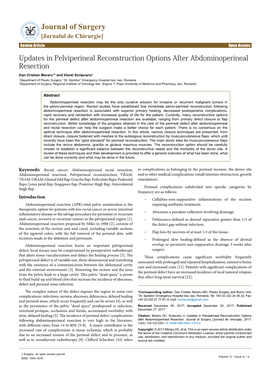 Updates in Pelviperineal Reconstruction Options After Abdominoperineal Resection