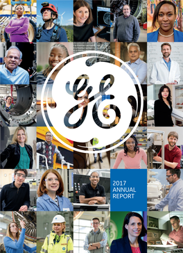 2017 Annual Report