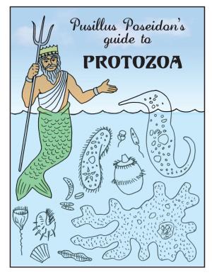 Pusillus Poseidon's Guide to Protozoa