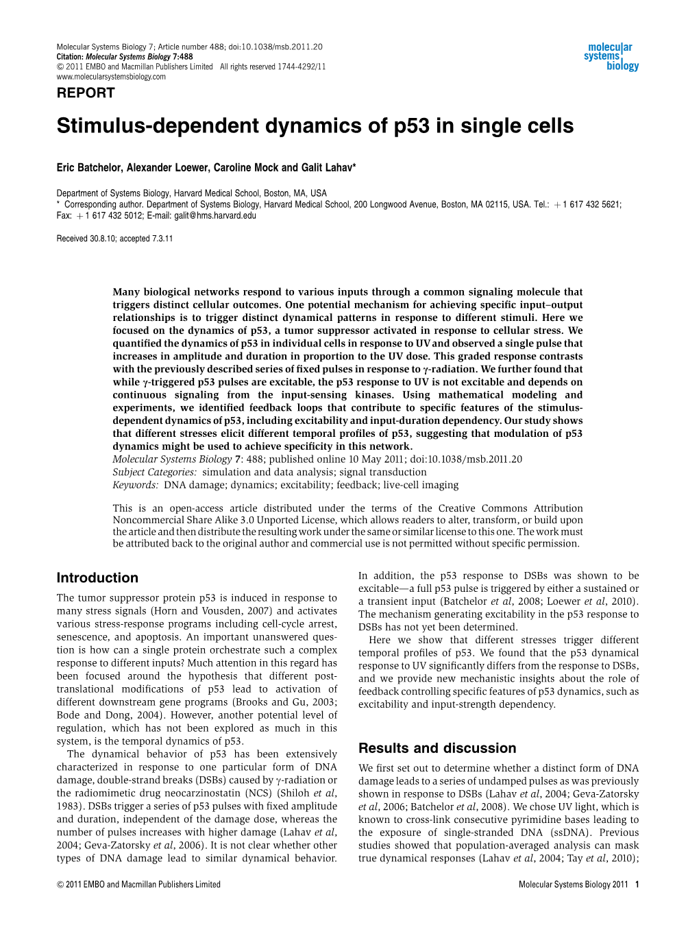 Stimulus‐Dependent Dynamics of P53 in Single Cells
