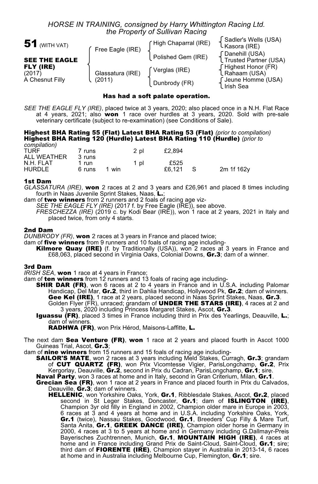 HORSE in TRAINING, Consigned by Harry Whittington Racing Ltd. The