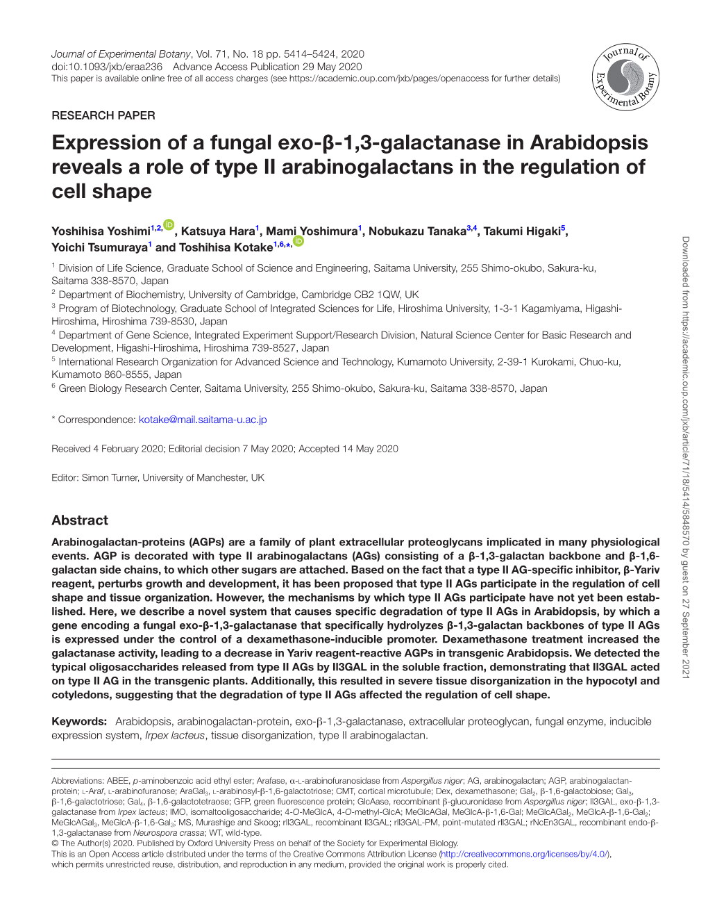 Expression of a Fungal Exo-Β-1,3-Galactanase in Arabidopsis Reveals a Role of Type II Arabinogalactans in the Regulation of Cell Shape