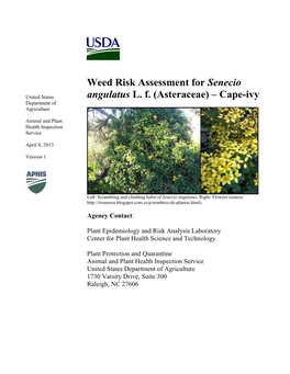 Weed Risk Assessment for Senecio Angulatus L. F. (Asteraceae)