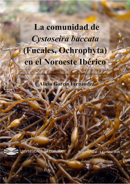 "Cystoseira Baccata" (Fucales, Ochrophyta) En El Noroeste Ibérico