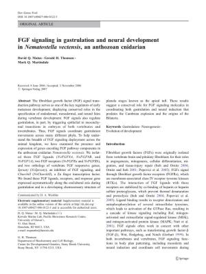FGF Signaling in Gastrulation and Neural Development in Nematostella Vectensis, an Anthozoan Cnidarian