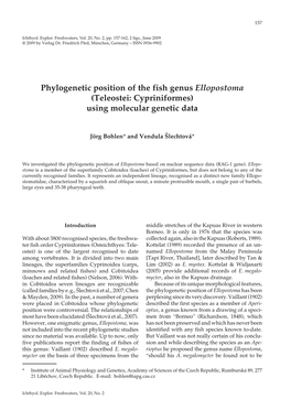 Phylogenetic Position of the Fish Genus Ellopostoma (Teleostei: Cypriniformes) Using Molecular Genetic Data