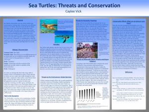 Sea Turtles: Threats and Conservation Caylee Vick
