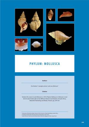Phylum: Mollusca