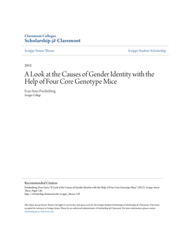 A Look at the Causes of Gender Identity with the Help of Four Core Genotype Mice Evan Serio Friedenberg Scripps College