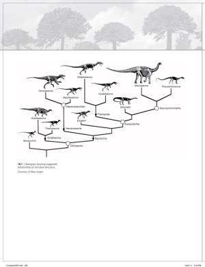 18.1. Cladogram Showing Suggested Relationships of the Basal Dinosaurs