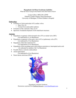 Hypoplastic Left Heart Syndrome Guideline What the Nurse Caring for the Patient with CHD Needs to Know