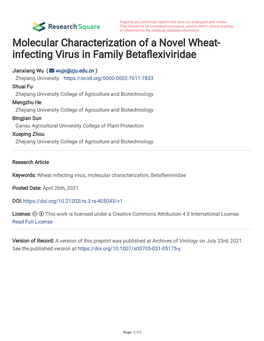 Molecular Characterization of a Novel Wheat- Infecting Virus in Family Betafexiviridae